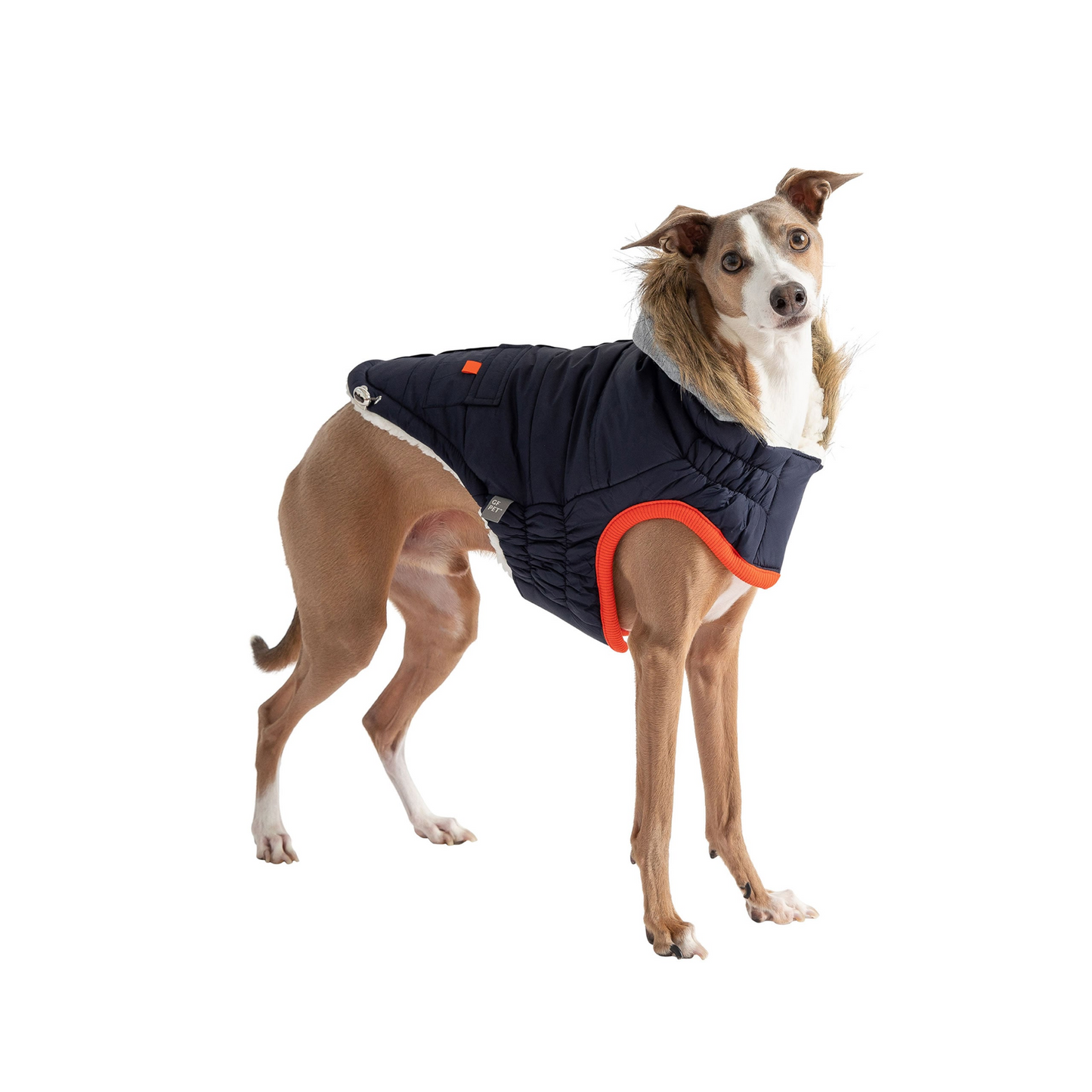 Winter Sailor Parka for Dogs- Navy