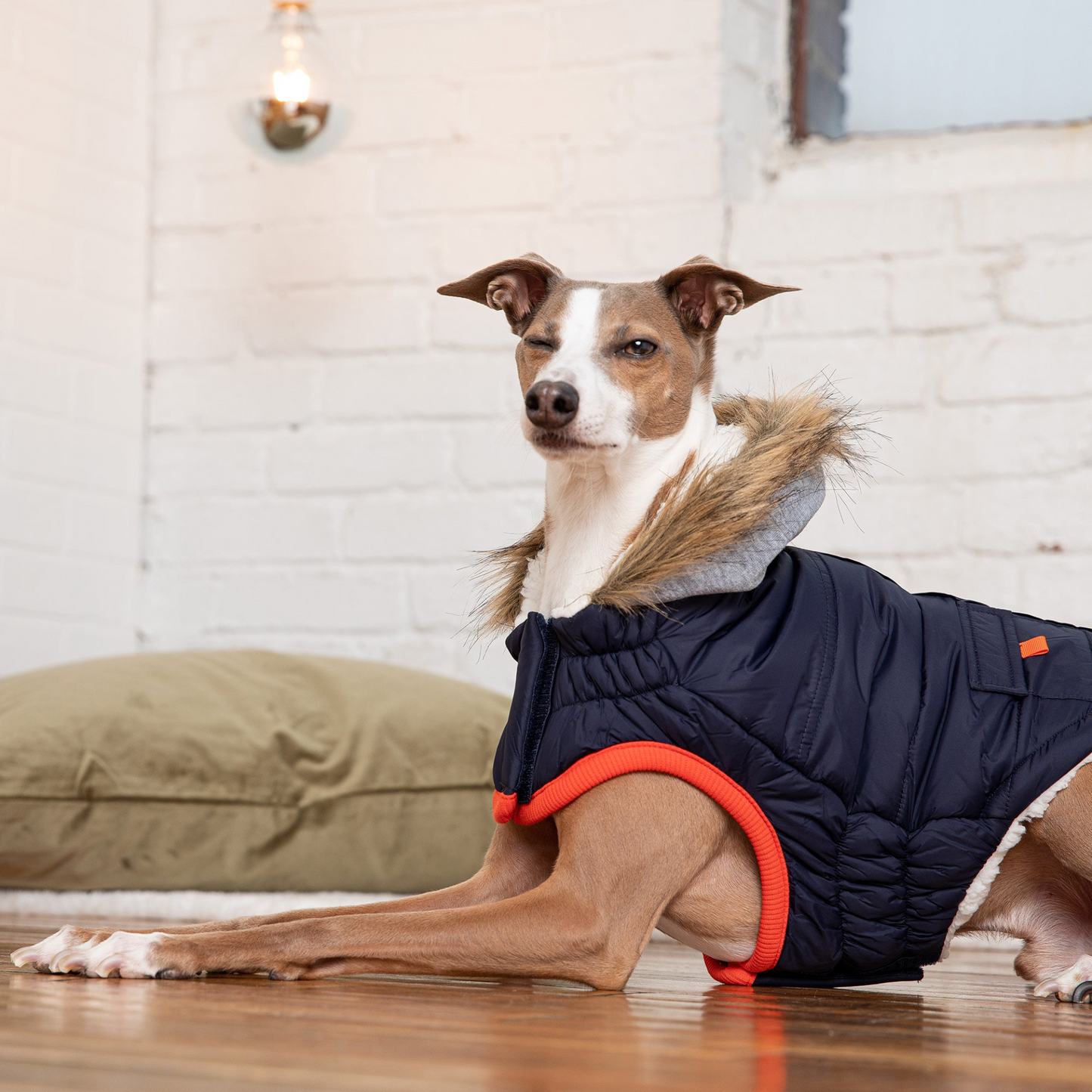 Winter Sailor Parka for Dogs- Navy