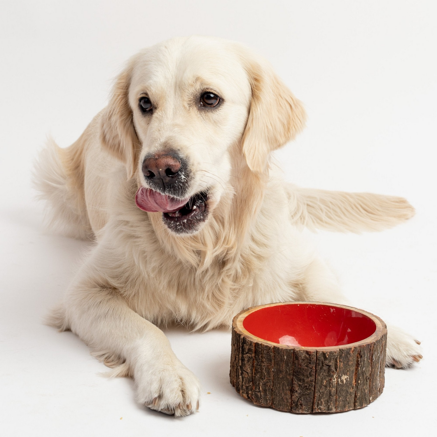 Farmhouse Wood Dog Bowl